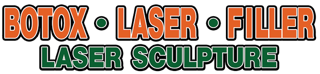 Laser Sculpture logo
