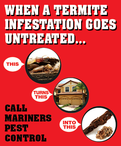 mariners-pest-control-featured-ad